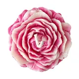 Giftcera Peony Soy Wax Candle | Lavender Scented | Pink
