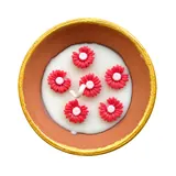 Giftcera Terracotta Flower Bowl Soy Wax Candle | Unscented