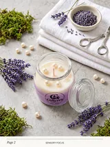 Giftcera Lavender Soy Wax Jar Candle | Aromatherapy Home Decor