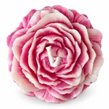 Giftcera Peony Soy Wax Candle | Lavender Scented | Pink