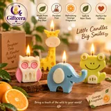 Giftcera Jungle Animal Soy Wax Candles | Orange Scented | Set of 4